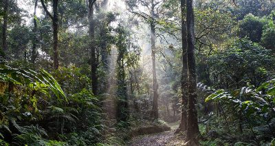 Why Every One of Us Needs to Be Involved in the Climate Change Conversation