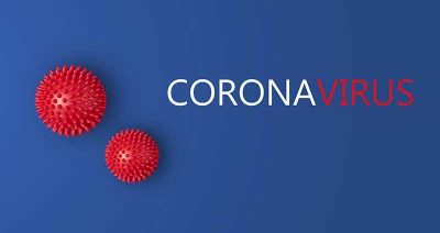 Follow These Steps to Avoid a Charity Scam During COVID-19