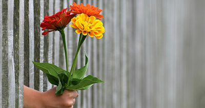 If We’re Paying Less Taxes, Why is Charitable Giving Down?